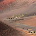 Lanzarote - Timanfaya Naturpark