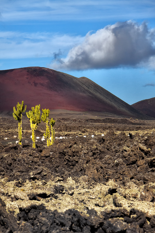 ... lanzarote V ...