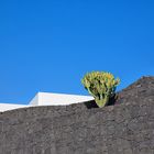 Lanzarote view