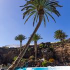 Lanzarote vor der Seuche ... Jameos del Agua (2)