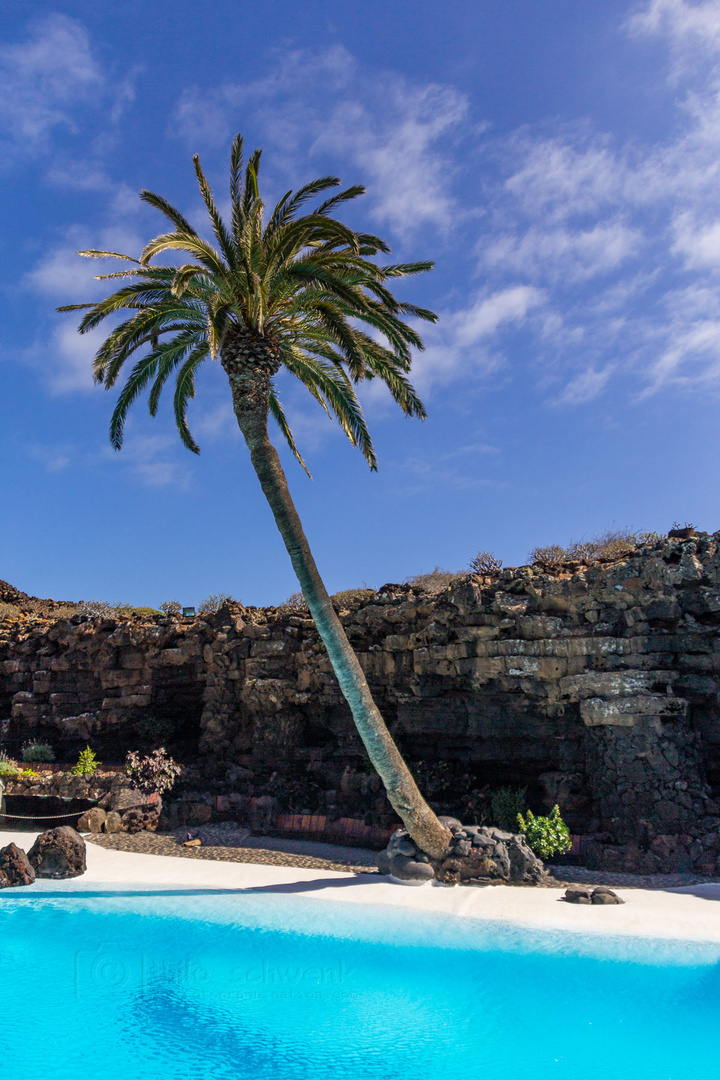 Lanzarote vor der Seuche ... Jameos del Agua (4)