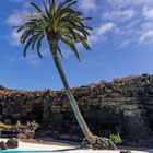 Lanzarote vor der Seuche ... Jameos del Agua (4)