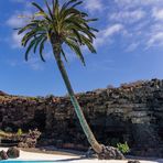 Lanzarote vor der Seuche ... Jameos del Agua (4)