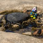 Lanzarote vor der Seuche ... schnell noch einen letzten Tauchgang