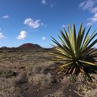 Lanzarote zentral