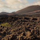 Lanzarote_1