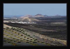 Lanzarote3