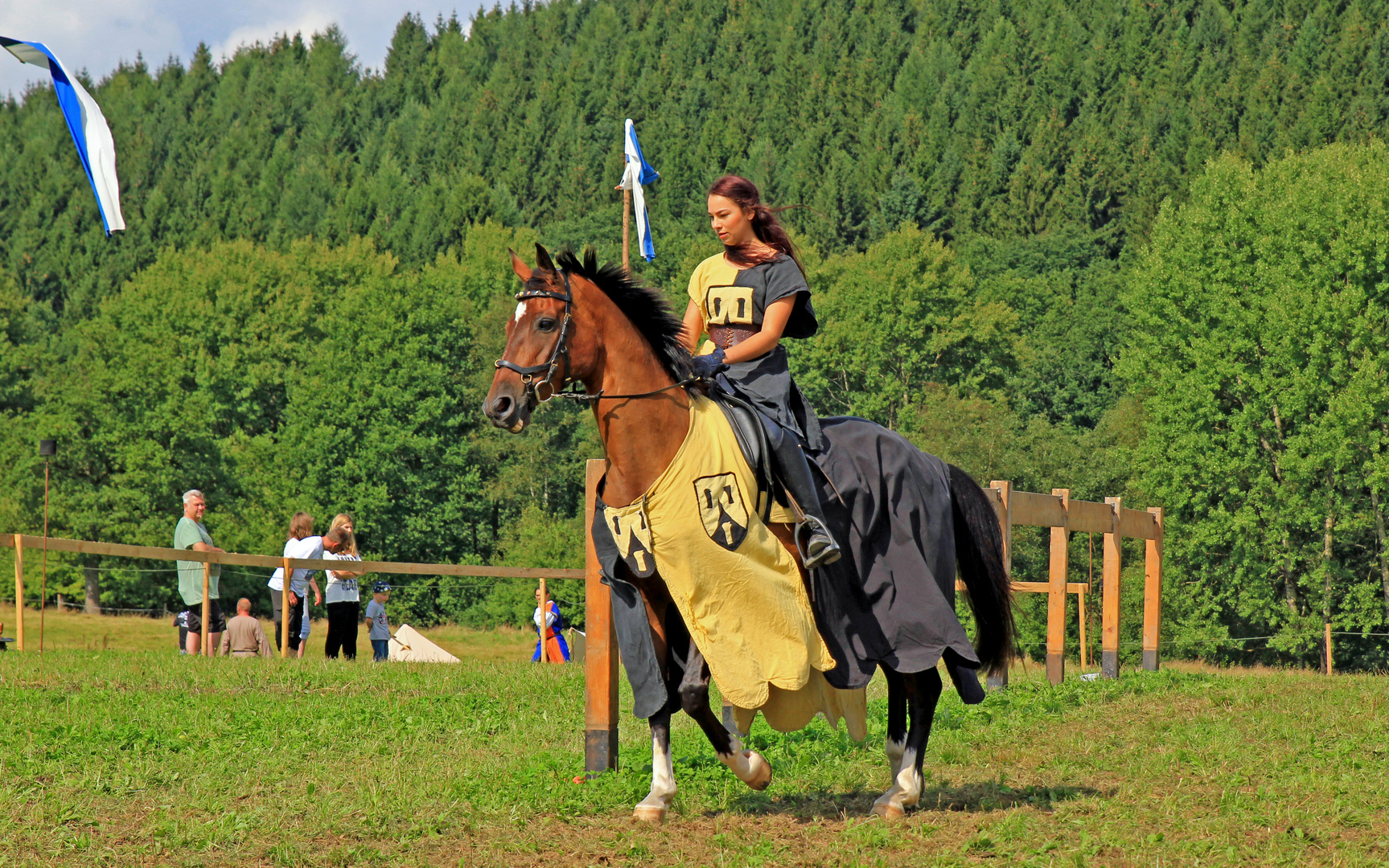 Lanzenritterturnier in "Alte Heide" 57258 Freudenberg (3)