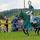 Lanzenritterturnier in "Alte Heide" 57258 Freudenberg (8)