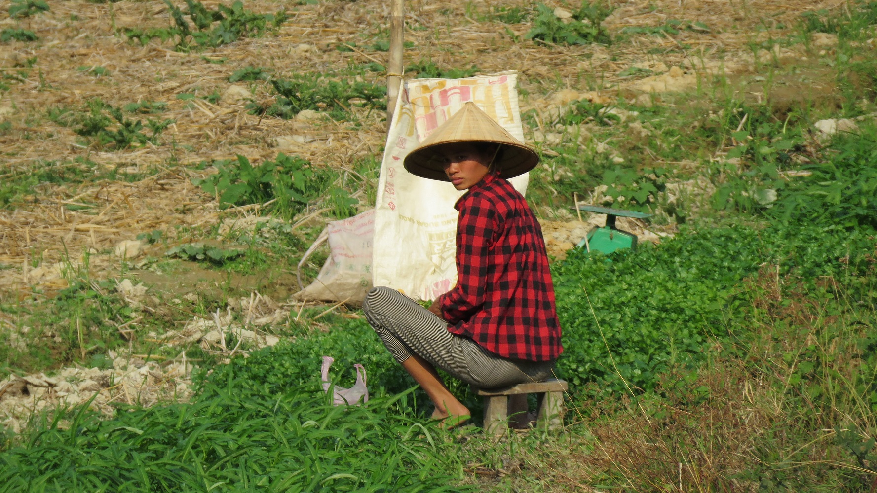 Laos (2020), junge Feldarbeiterin