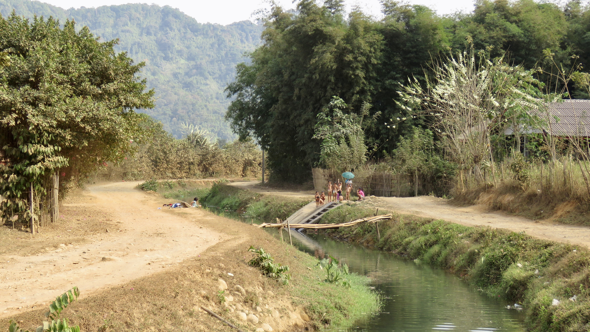 Laos (2020), kleine Wasserratten III