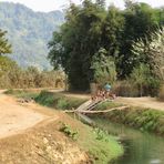 Laos (2020), kleine Wasserratten III