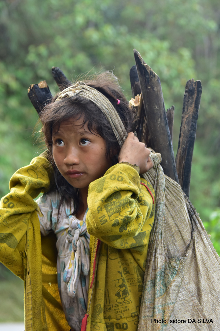 LAOS l'enfant et son chargement de bois