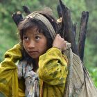 LAOS l'enfant et son chargement de bois