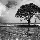 LAOS PANORAMA