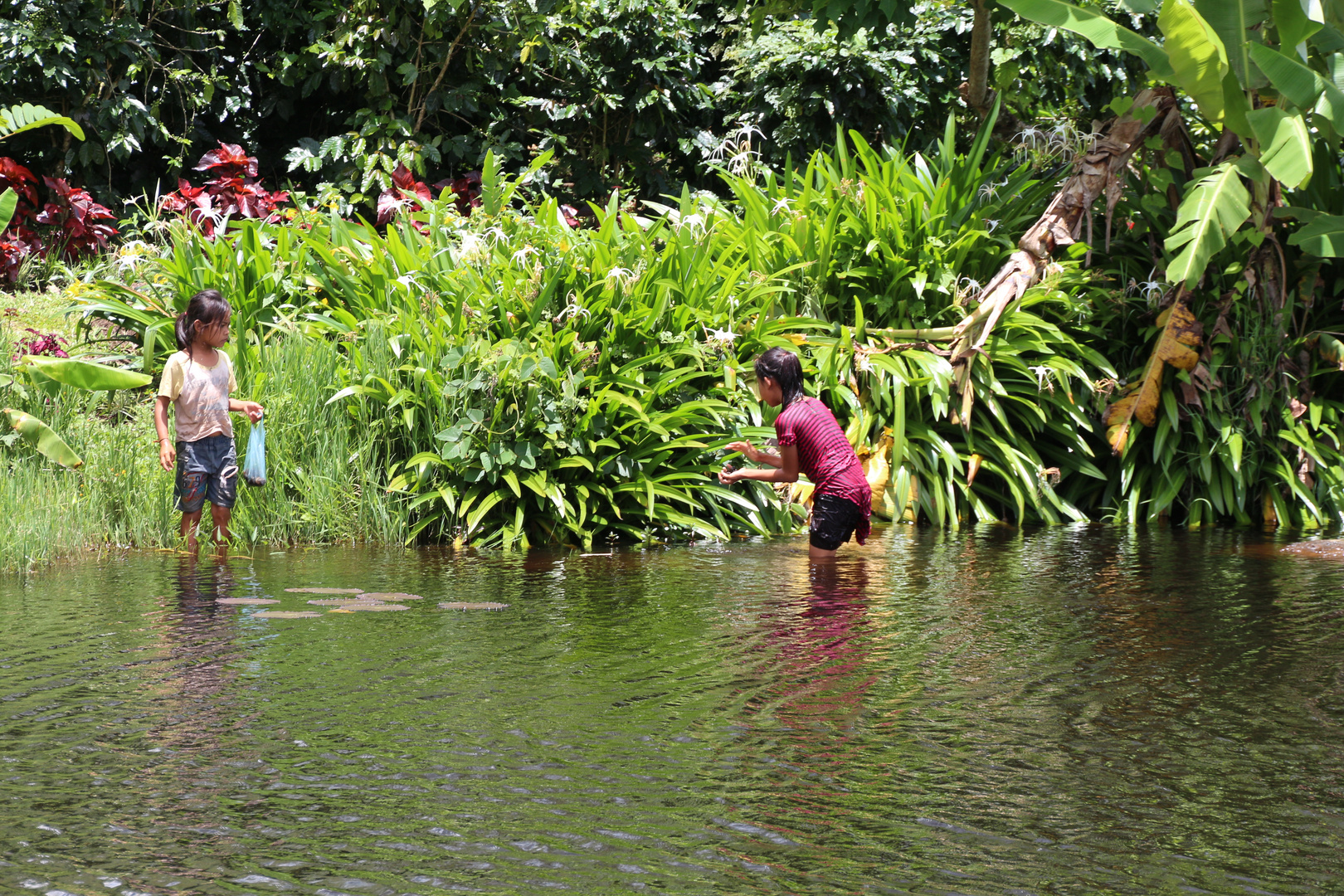 Laos Reise, Alltag, Muscheln sammeln