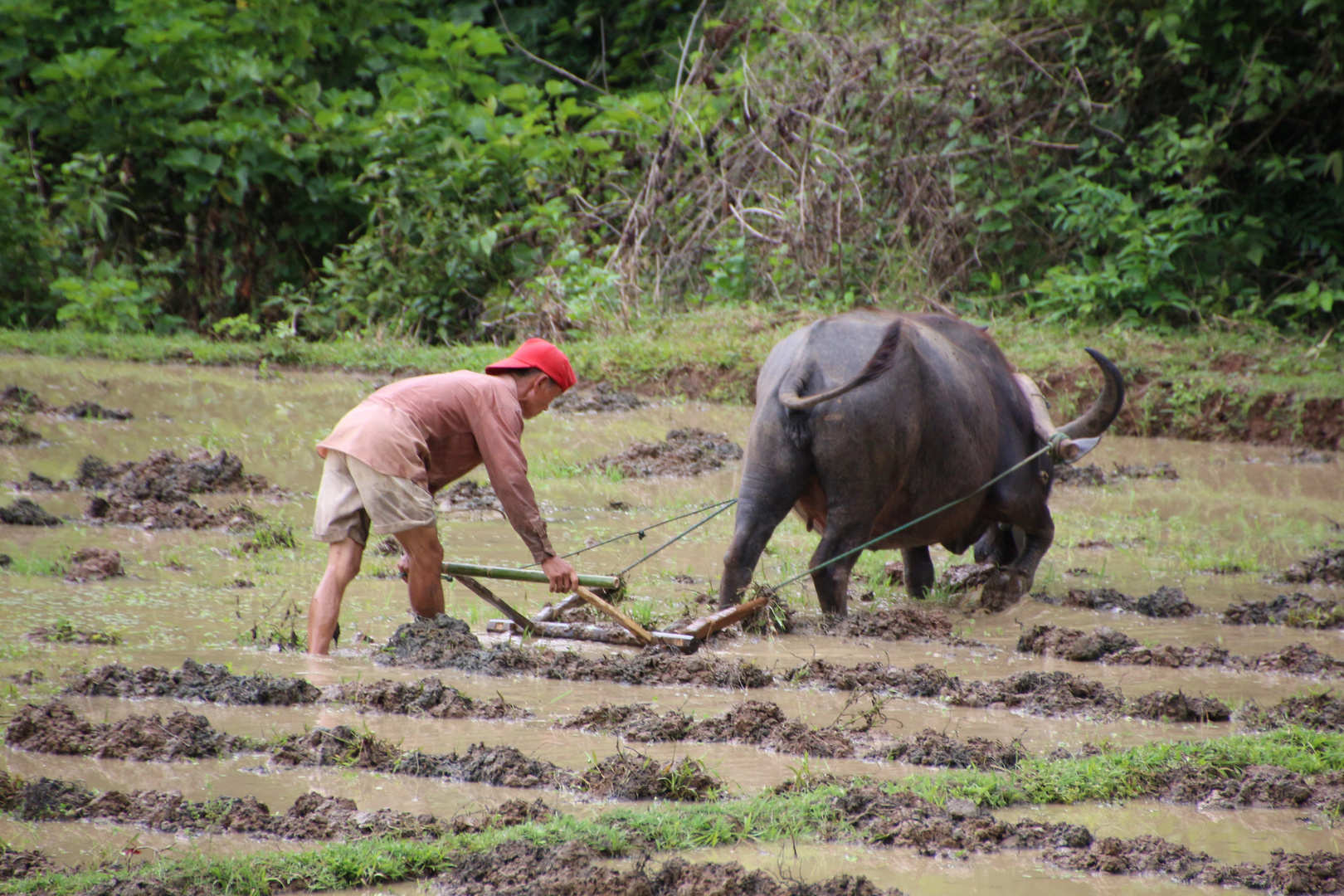 Laos Reise, Reisbauer