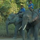 Laotian mahouts on the home way after working in the jungle