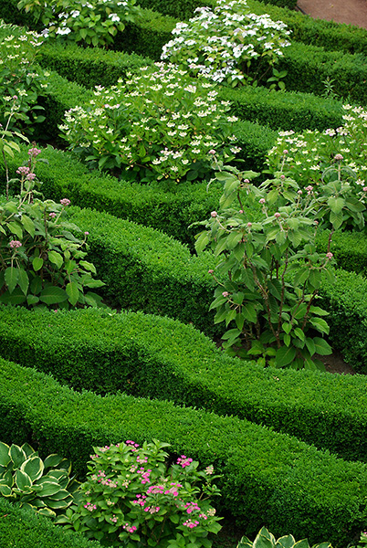 LaPaDu Garten