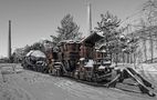 LaPaDu im Schnee von BertholdHobbyfotograf