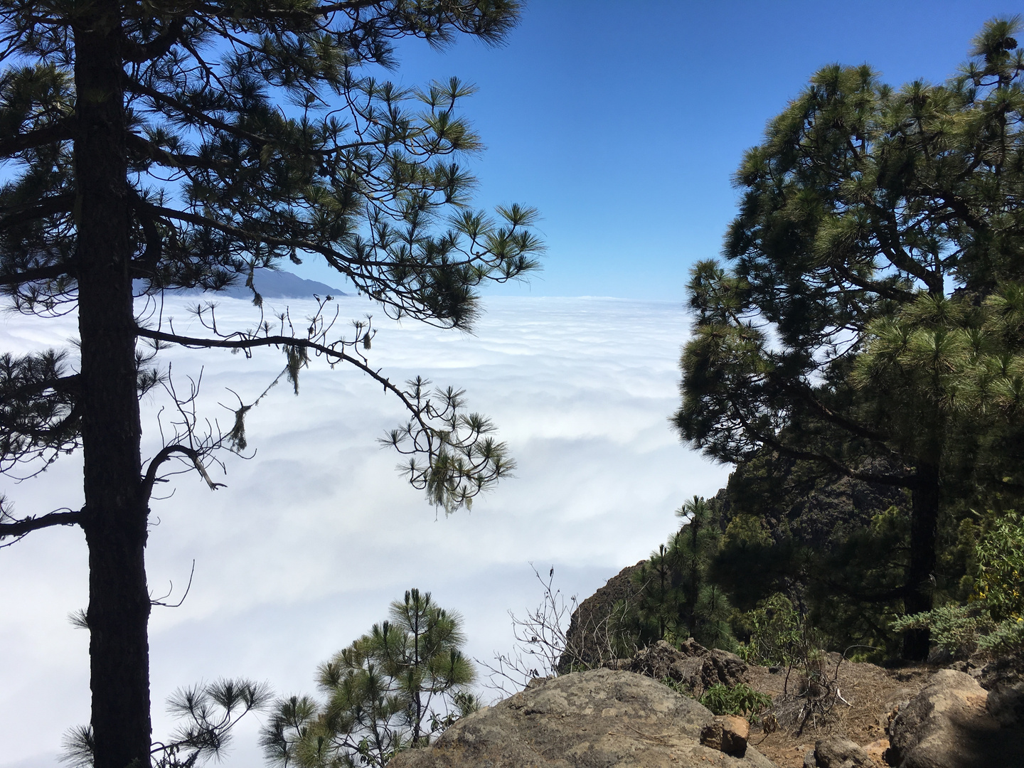 LaPalma Foto & Bild landschaft, berge, gipfel und grate Bilder auf