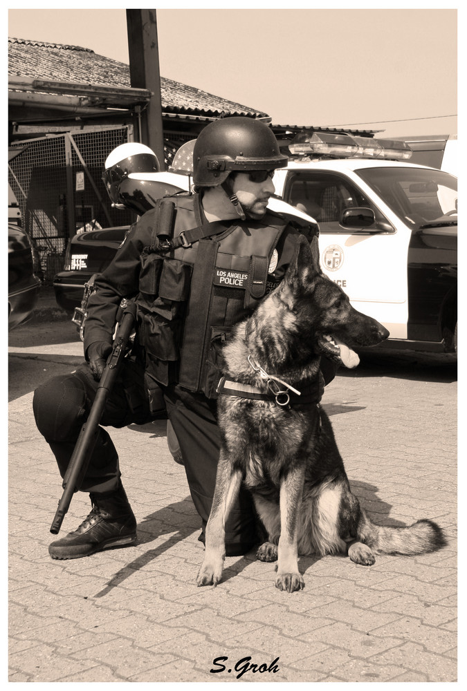 LAPD K-9 " Einer für alle, alle für einen "