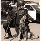 LAPD K-9 " Einer für alle, alle für einen "