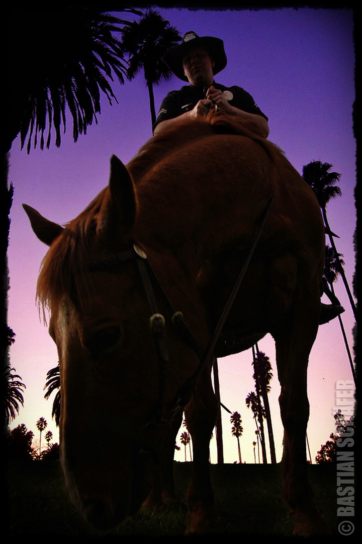 LAPD Mounted Division