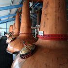 Laphroaig Stills