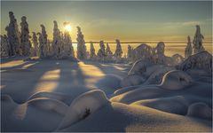Lapland Jan 2016
