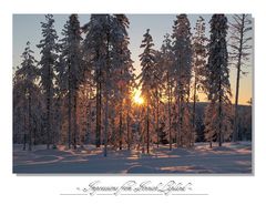 Lapland 2011 (5)