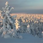 Lapland