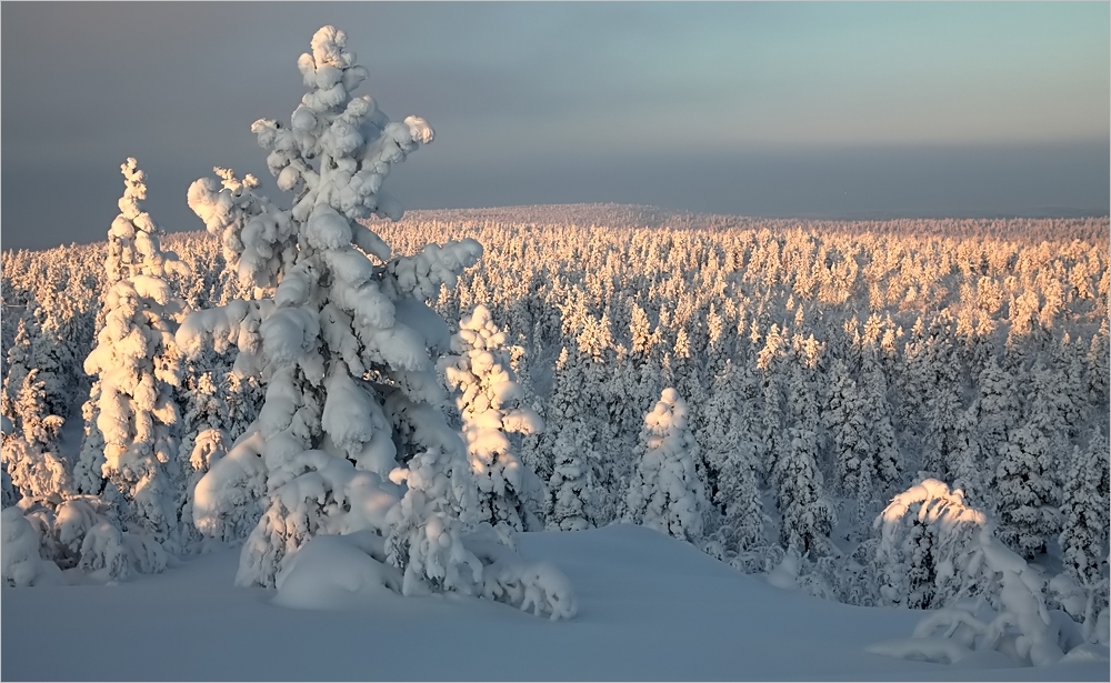 Lapland