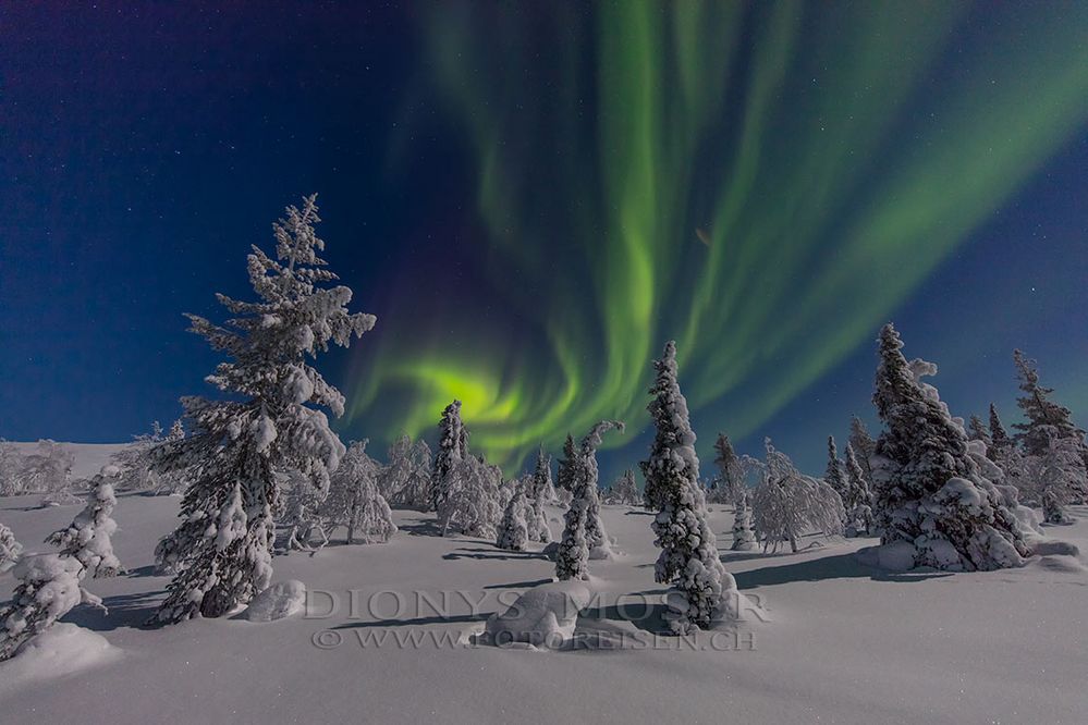 Lapland Aurora