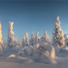 Lapland - Finland