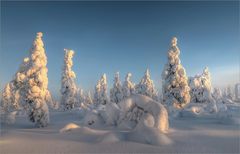 Lapland - Finland