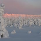 Lapland Finland