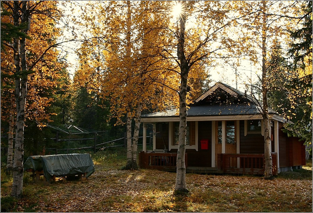 Lapland-Hütte