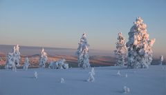 Lapland Morgen (Finnland)