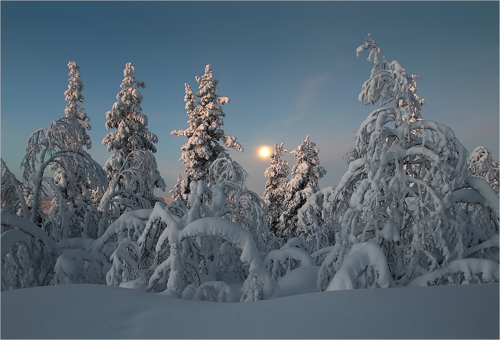 Lapland morgens