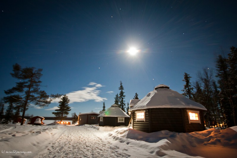 Lapland night...