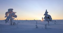 Lapland Sonnenaufgang