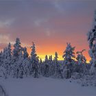 lapland sunset