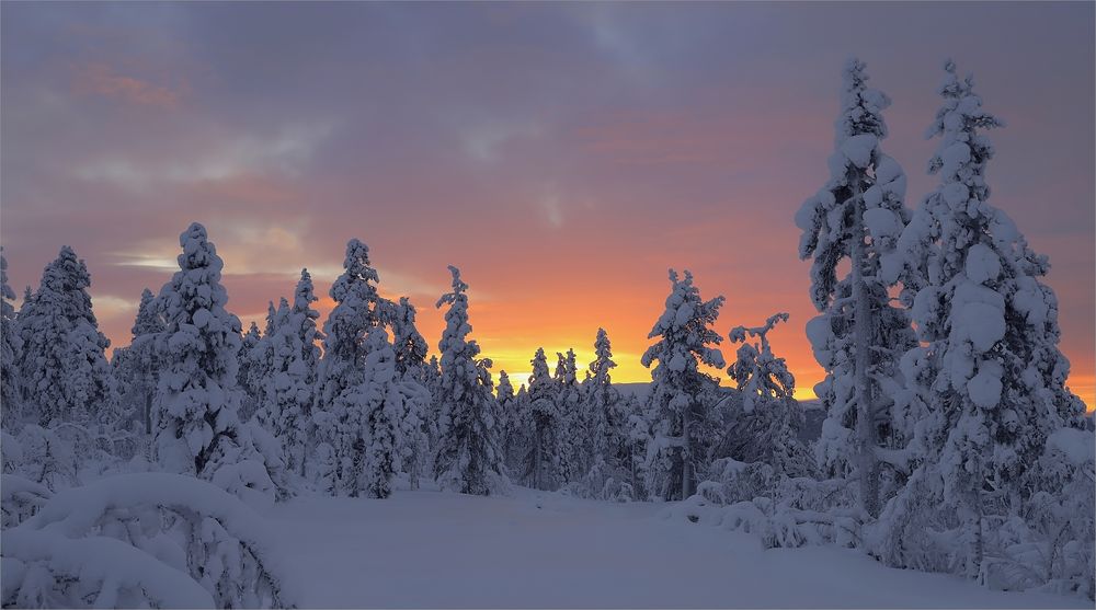 lapland sunset