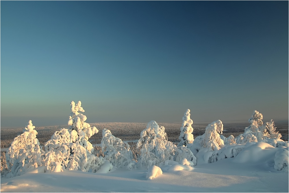 Lapland Winter 2012 (2)