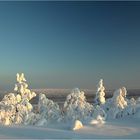 Lapland Winter 2012 (2)