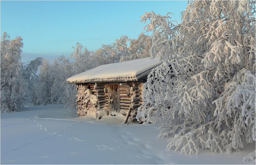 Lapland Winter 2012 (3)