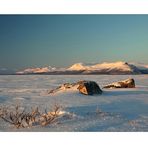 Lapland Winter 2012 (4)
