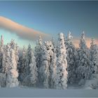 Lapland Winter 2012 (8)