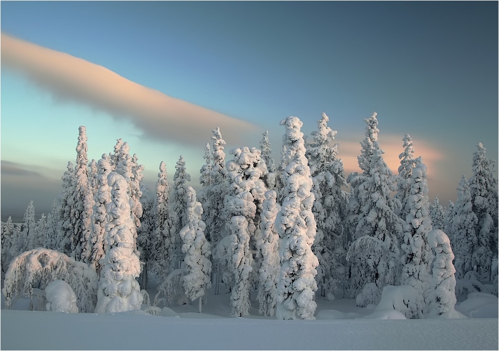Lapland Winter 2012 (8)